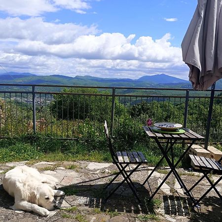 Casetta Nel Podere Di Massi Барберино-ди- Муджелло Экстерьер фото