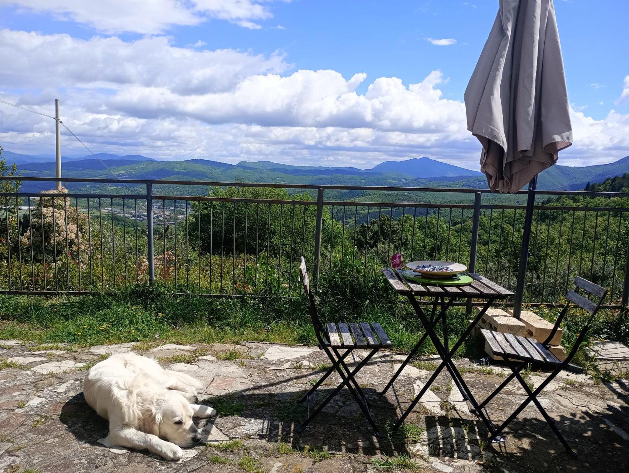 Casetta Nel Podere Di Massi Барберино-ди- Муджелло Экстерьер фото